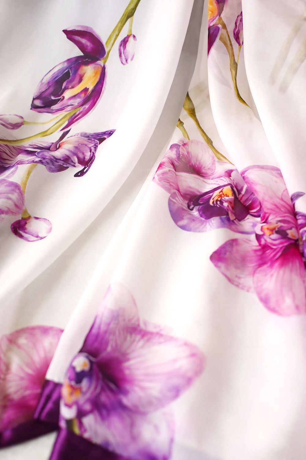 BAGH-E-JAMUNI - Organza Saree with Blouse